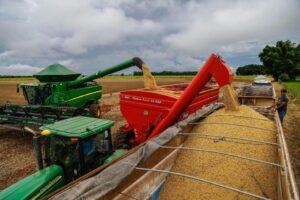 Ibovespa sobe com suporte de commodities; Exportações de soja, açúcar e café do Brasil avançam