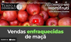 Com vendas enfraquecidas de maçã, fuji é armazenada para estabilidade no preço