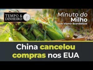 China cancelou compras de Milho nos EUA