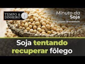 Soja tentando recuperar fôlego