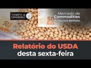 Relatório do USDA desta sexta-feira não deve trazer grandes mudanças