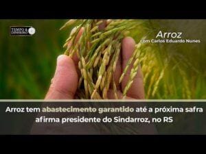 Arroz tem abastecimento garantido até a próxima safra, afirma presidente do Sindarroz, no RS