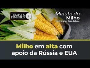 Milho em alta com apoio da Rússia e EUA