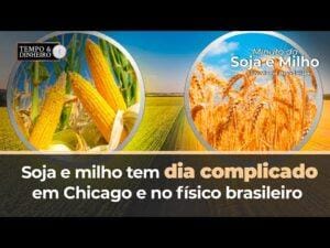 Soja e milho tem dia complicado em Chicago e no físico brasileiro