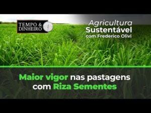 Pastagens mais vigorosas com a Riza Sementes