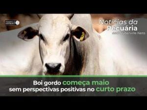 Boi gordo começa maio sem perspectivas positivas no curto prazo. Acompanhe o comentário de Hyberville Neto