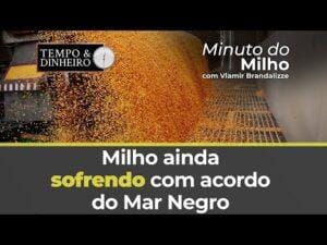 Milho ainda sofrendo com acordo do Mar Negro