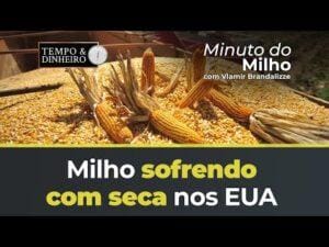 Milho começando sofrer com seca nos EUA