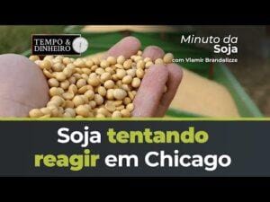 Soja tentando reagir em Chicago