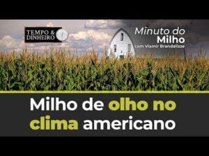 Milho de olho no clima americano