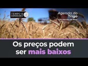 A proximidade da colheita dos EUA e Europa, acalma investidores. Os preços podem ser mais baixos