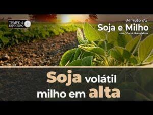 Soja com volatilidade vê milho em alta em Chicago. Veja o comentário do Brandalize