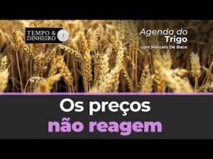 A volatilidade fica retida no mercado internacional. Internamente, os preços não reagem