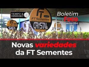 Novas variedades da FT Sementes