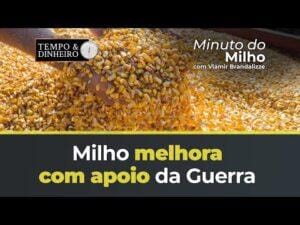 Milho melhora com apoio da Guerra