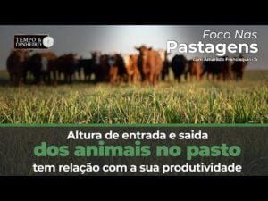 Foco nas Pastagens e a dúvida sobre a produtividade dos animais com  altura de entrada e saída dos pastos