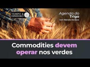 As commodities devem operar nos verdes, a recompra das posições é uma oportunidade imperdível