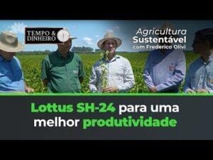 Lottus SH-24 para uma melhor produtividade