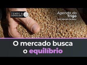 O mercado busca o equilíbrio, vários fatores estão sobre a mesa