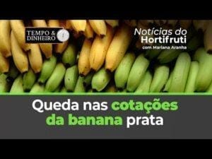 Queda nas cotações da banana prata