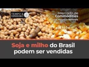 Soja e milho do Brasil podem ser vendidas, excepcionalmente, junto com a entrada da safra americana