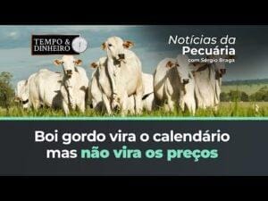 Boi gordo vira o calendário mas não tem virada de preços. BH com arroba abaixo dos R$200