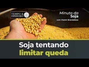 Soja tentando limitar queda