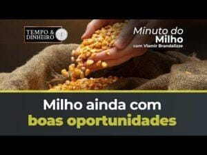 Milho ainda com boas oportunidades nos portos