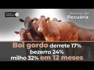 Boi gordo derrete 17%, bezerro 24%, milho 32% em 12 meses. Hyberville Neto explica as quedas