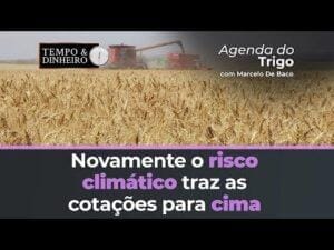 Novamente o risco climático traz as cotações para cima