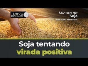 Soja tentando virada positiva