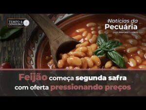 Feijão começa segunda safra com oferta pressionando preços. Veja o balanço do mercado de feijão e pulses com Marcelo Lüders