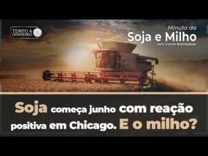 Soja começa junho com reação positiva em Chicago. E o milho? Brandalize comenta