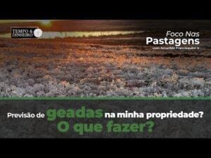 Foco nas Pastagens : o que fazer com a previsão de geadas na minha propriedade?
