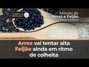 Mercado do arroz vai tentar alta nesta semana; Feijão ainda em ritmo de colheita