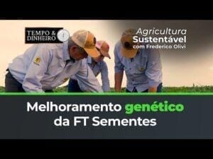 Melhoramento genético da FT Sementes