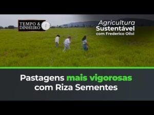 Pastagens mais vigorosas com Riza Sementes