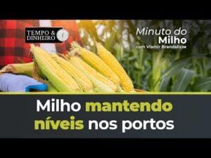 Milho mantendo níveis nos portos na boca da colheita