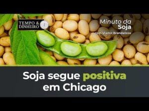 Soja segue positiva em Chicago