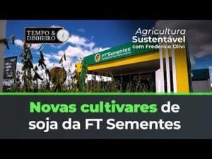 Produtividade com a FT Sementes