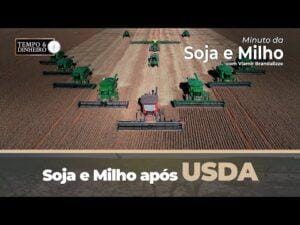 Soja e Milho após USDA.  Acompanhe o fechamento de hoje.