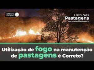 Utilização de fogo na manutenção de pastagens, é correto?