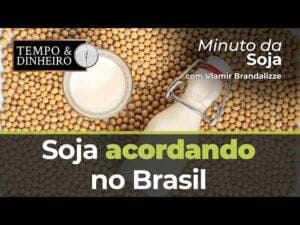 Soja acordando no Brasil