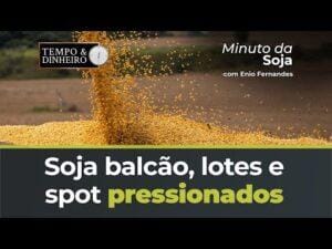 Soja balcão , lotes e spot pressionados com piora dos prêmios. Acompanhe com Ênio Fernandes