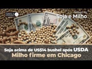 Soja acima de US$14 bushel após USDA . Milho firme em Chicago