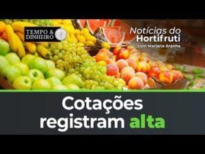 Cotações registram alta, confira o preço também para os ovos