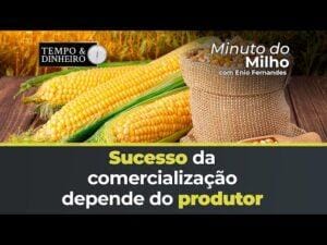 Sucesso da comercialização depende do produtor. Abra os olhos, indica Marcos Araújo
