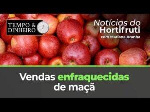 Com vendas enfraquecidas de maçã, fuji é armazenada para estabilidade no preço