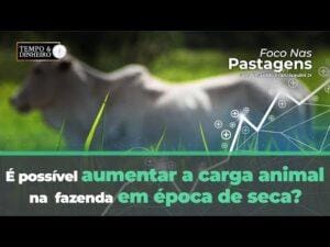 Foco nas Pastagens esclarece se é possível aumentar carga animal na fazenda em época de seca.