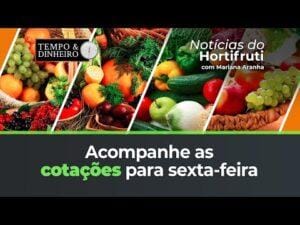 Acompanhe as cotações para sexta-feira